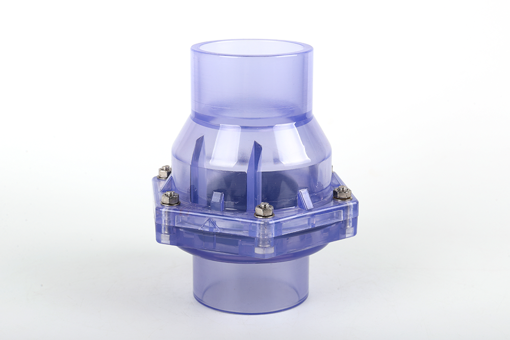 掇刀透明翻板式止回阀